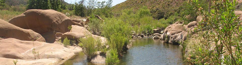 Sespe Creek Banner