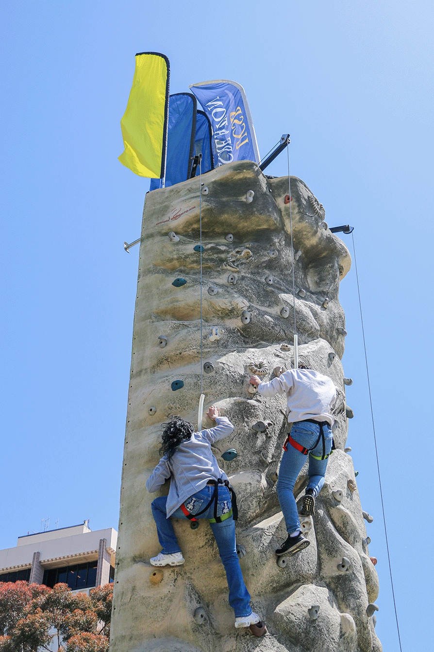 Mobile Climbing Wall