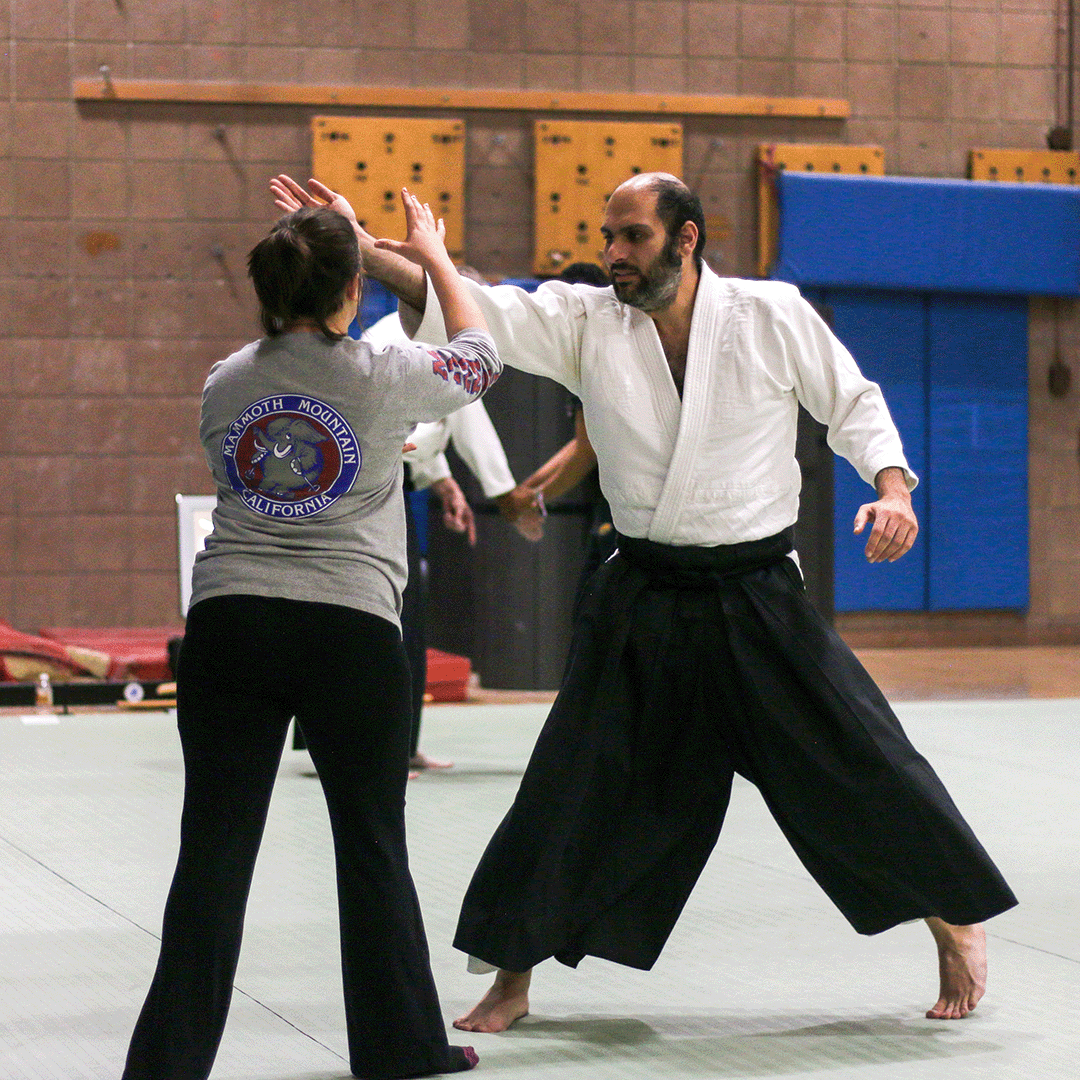 Aikido